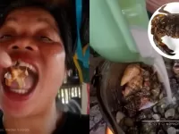 Likes que Matam – Influenciadora morre após comer caranguejo venenoso